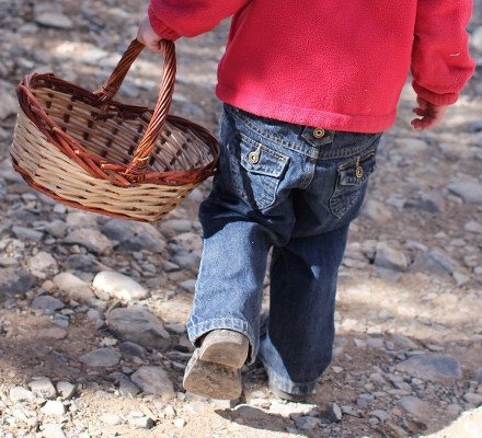 basket-walk-featured