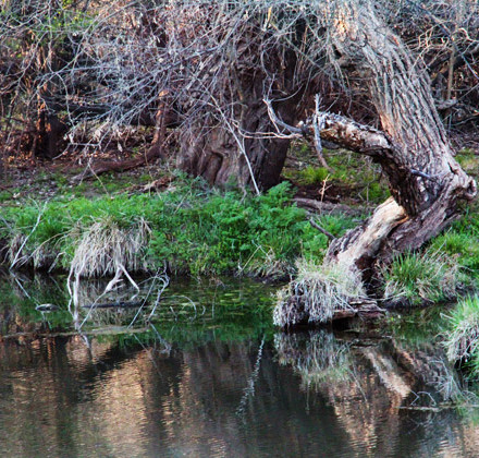 quiet-waters-featured-2