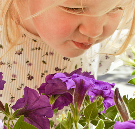 smelling-petunias