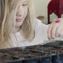 seeds 1 girl drops seeds in planter