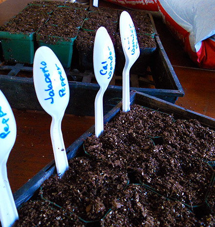 Annie-planting-seeds-2011-026-featured