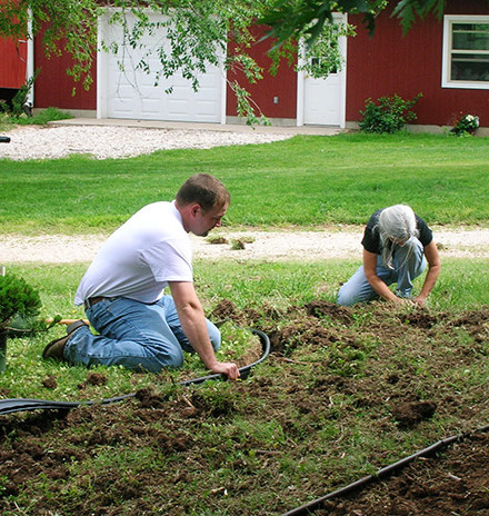 flower-bed