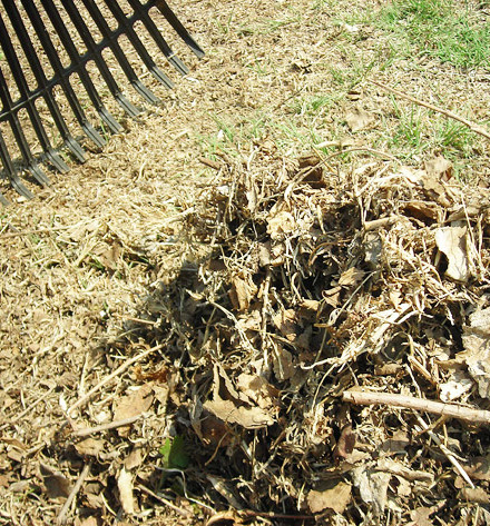 leaf-mulch2