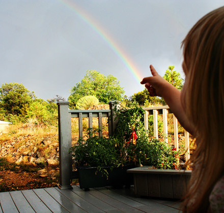 pointing-to-rainbow-promise